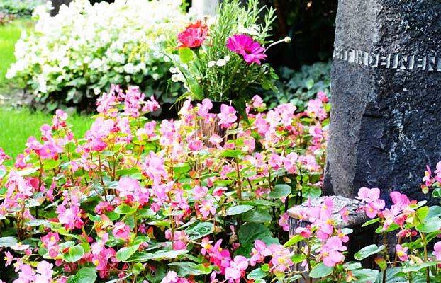 Kleinunternehmerregelung bei Ehegatten